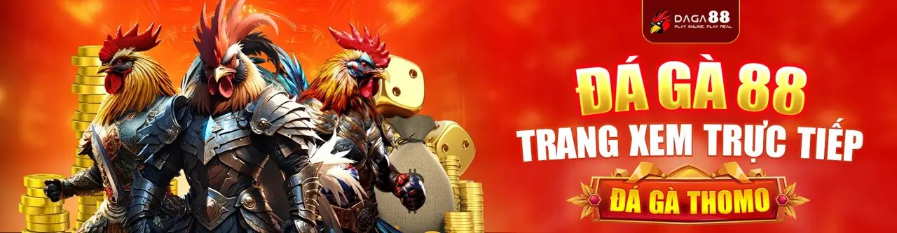 Sân đấu đá gà kịch tính tại i9bet100 app